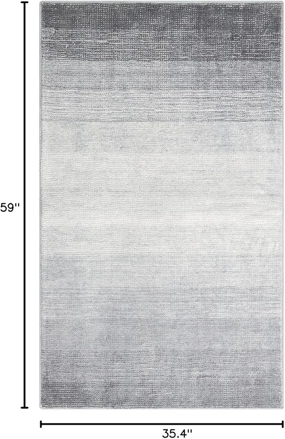 Wonnitar Washable Grey Area Rug 3x5, Modern Ombre Entry Rug Throw Rugs for Living Room, Non-Slip Contemporary Gradient Soft Rug for Bedroom Low Pile for Bathroom Kitchen Dining Mud Room (Grey, 3'x5')
