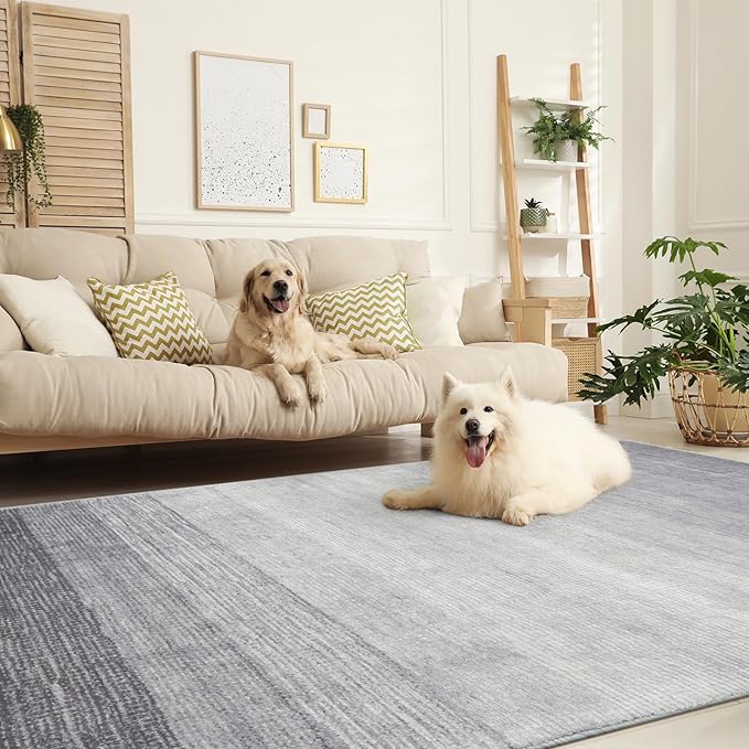 Wonnitar Modern Ombre 6x9 Grey Area Rugs for Bedroom, Washable Large Living Room Rug, Non-Slip Soft Contemporary Stain Resistant Accent Carpet for Dining Room Guest Room (Grey, 6'x9')