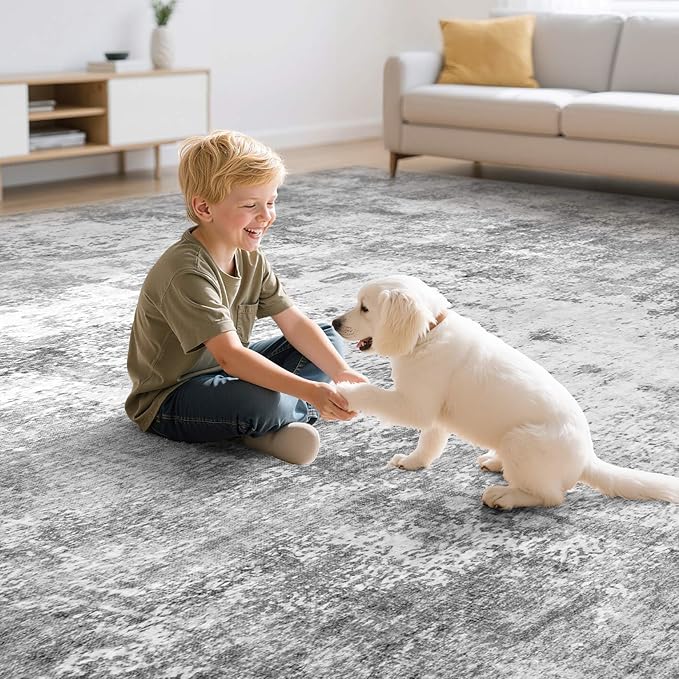 Washable 8X10 Area Rug: Modern Abstract Soft Non-Slip Indoor Rugs Home Decor - Low Pile Stain Resistant Carpet for Living Room Bedroom Dining Room Playroom Office(Grey 8'x10')