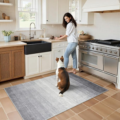 Wonnitar Washable Grey Area Rug 3x5, Modern Ombre Entry Rug Throw Rugs for Living Room, Non-Slip Contemporary Gradient Soft Rug for Bedroom Low Pile for Bathroom Kitchen Dining Mud Room (Grey, 3'x5')