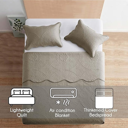 IR Imperial Rooms 10 Pack Twin Quilt Bedding Set (68" x 86") - Bulk Wholesale for Hotels, Guest Bedroom & Airbnbs - Lightweight Microfiber Reversible Floral Embossed Quilts Bedspreads (Beige)
