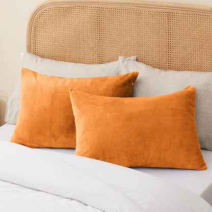 BEDELITE Flannel Pillow Cases Queen Size Set of 2, Super Soft Fleece Pillowcases with Zipper for Bedroom, Sofa, Luxury Cozy Fuzzy Velvet Pillow Shams for All Seasons(20x30 Inches,Burnt Orange)