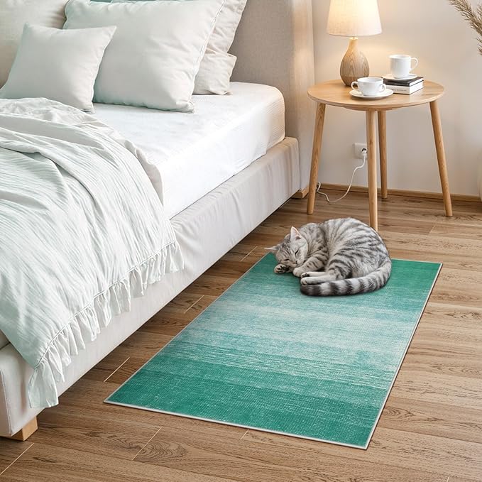 Wonnitar Modern Ombre Small 2x3 Rug, Washable Teal Kitchen Sink Rugs, Non-Slip Abstract Soft Bathroom Throw Mat, Non-Shedding Gradient Indoor Accent Carpet for Bedside Bath Bedroom (Teal, 2'x3')