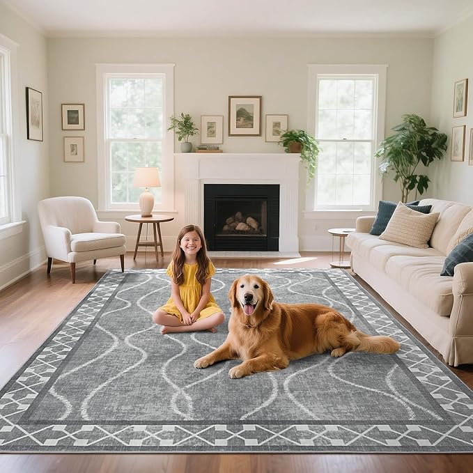 Area Rugs 6x9 Washable Rug, Non-Slip Rugs for Living Room, Low Pile Bordered Rugs Alfombras, Large Print Rubber Backing Indoor Carpet for Home Decor Bedroom Nursery Dining Room, Light Grey