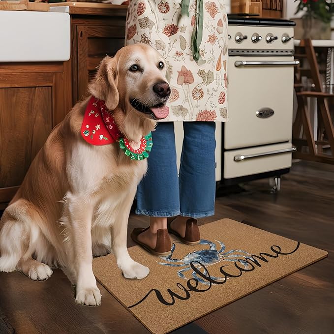 Blue Crab Welcome Door Mat, Beach Framhouse Doormat, Lake Sea Welcome Front Door Mat Indoor Outdoor Entrance, Funny Artificial Coir Doormats Rugs for Patio Entry Beach House Decor 30x17in
