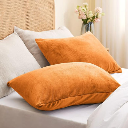 BEDELITE Flannel Pillow Cases Queen Size Set of 2, Super Soft Fleece Pillowcases with Zipper for Bedroom, Sofa, Luxury Cozy Fuzzy Velvet Pillow Shams for All Seasons(20x30 Inches,Burnt Orange)