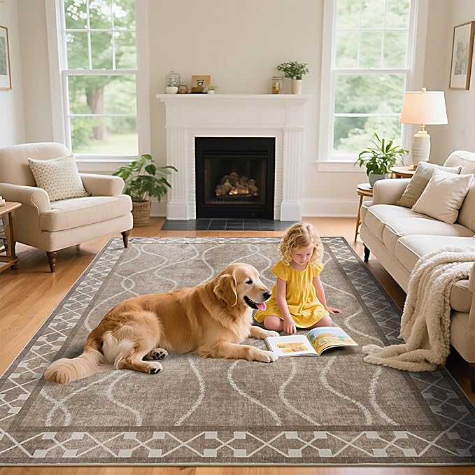 4x6 Area Rugs for Bedroom Living Room, Machine Washable Low Pile Rugs, Non Slip Modern Bordered Print Indoor Carpet for Entryway Office Dining Room Dorm Home Decor, Brown