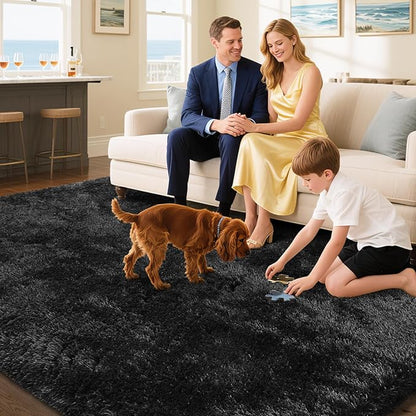 Fluffy Rug Shaggy Area Rug, Black 3x5 Area Rugs for Bedroom, Small Bedside Rug, Soft Fluffy Shaggy Entryway Throw Rugs for Living Room Bedroom Kids Room Home Decor