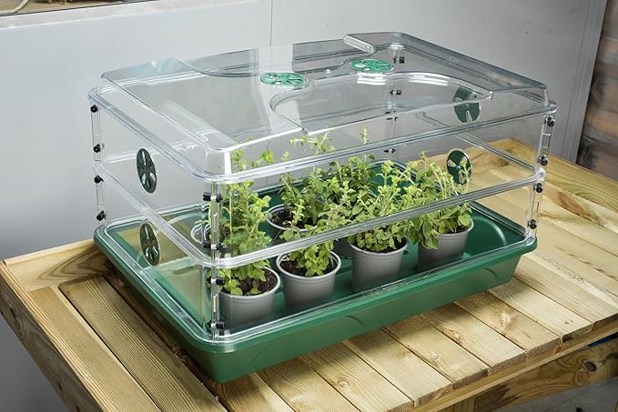 EarlyGrow 24" x 15" x 12.75" Domed Propagator with 2 Height Extenders and Locking Clip Set, Green