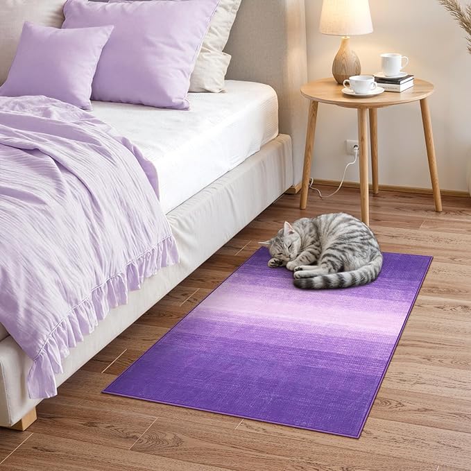 Wonnitar Modern Ombre Purple Rug 2x3, Small Washable Bathroom Rugs, Non-Slip Kitchen Rugs Throw Mat, Non-Shedding Gradient Soft Indoor Floor Carpet for Entryway Bedroom Bath (Purple, 2'x3')