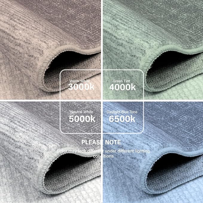 Wonnitar Washable Grey Area Rug 3x5, Modern Ombre Entry Rug Throw Rugs for Living Room, Non-Slip Contemporary Gradient Soft Rug for Bedroom Low Pile for Bathroom Kitchen Dining Mud Room (Grey, 3'x5')