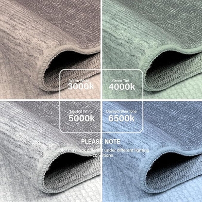 Wonnitar Washable Grey Area Rug 3x5, Modern Ombre Entry Rug Throw Rugs for Living Room, Non-Slip Contemporary Gradient Soft Rug for Bedroom Low Pile for Bathroom Kitchen Dining Mud Room (Grey, 3'x5')
