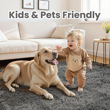 6x9 Area Rugs for Living Room Rug: Soft Fluffy Shag Gray Rugs for Bedroom, Non-Slip Large Fuzzy Plush Rug Indoor Floor Carpet for Nursery Kids Boys Girls Room, Dorms, Playroom, Modern Home Decor