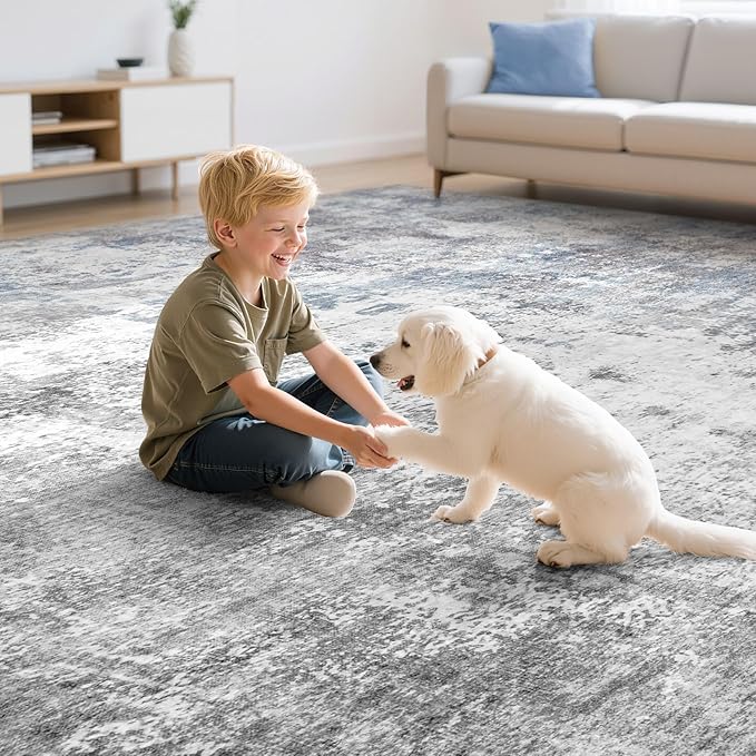 Washable 5X7 Area Rug: Modern Abstract Soft Non-Slip Indoor Rugs Home Decor - Low Pile Stain Resistant Carpet for Living Room Bedroom Dining Room Playroom Office(Blue Grey 5'x7')