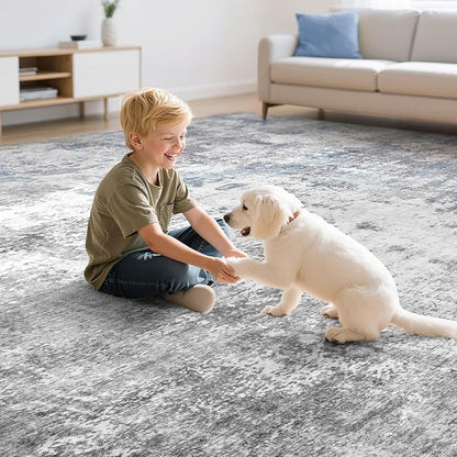 Washable 5X7 Area Rug: Modern Abstract Soft Non-Slip Indoor Rugs Home Decor - Low Pile Stain Resistant Carpet for Living Room Bedroom Dining Room Playroom Office(Blue Grey 5'x7')