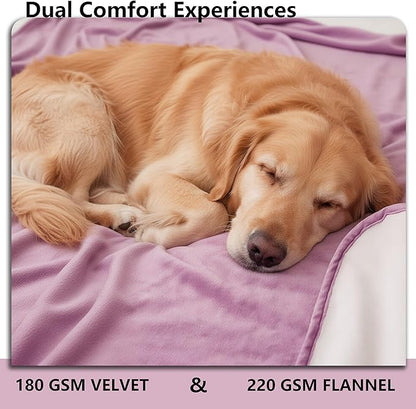 Waterproof Blanket for Couch, Leak Proof Dog Bed Blankets Reversible, Pet Throw Sofa Furniture Protector Machine Washable-68 x82,Purple+Cream