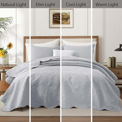 IR Imperial Rooms Twin Quilt Bedding Set Size (68” x 86”) + 1 Pillow Shams (20” x 26” + 2”) - 2 Pcs All Season Lightweight Reversible Microfiber Coverlet Floral Embossed Quilt Bedspread (Silver)