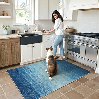 Wonnitar Ombre Blue Area Rug 3x5, Washable Modern Entry Rugs Soft Contemporary Rug for Boys Bedroom, Non-Slip Stain Resistant Bathroom Throw Carpet for Kitchen Dorm (Blue, 3'x5')