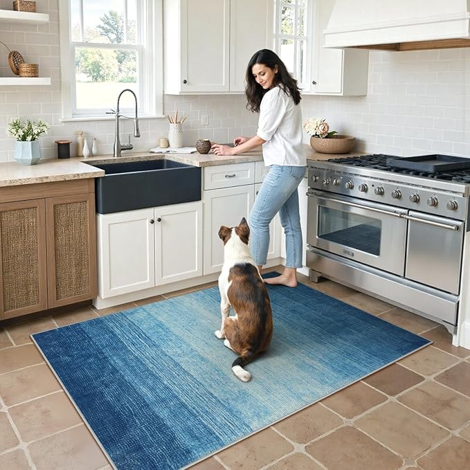 Wonnitar Modern Ombre Area Rug 4x6, Washable Blue Rugs for Living Room, Non-Slip Dining Room Throw Mat, Contemporary Indoor Accent Floor Carpet for Laundry Kitchen Entrance Mudroom (Blue, 4'x6')