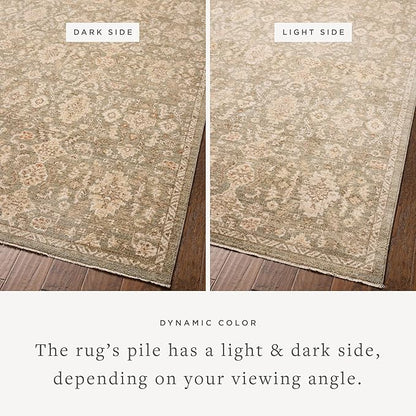 Loloi Chris Loves Julia Palma Collection PLM-03 Lagoon/Natural 2'-3" x 3'-10" Accent Rug Vintage Style Boho Living Room Bedroom Carpet