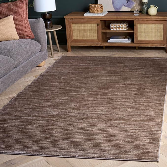 SAFAVIEH Area Rug 3x5 - Vision Collection - Light Brown, Modern Ombre Design, Non-Shedding & Easy to Clean, Ideal for Foyer, Entryway, Bedroom, Accent Space (VSN606C)