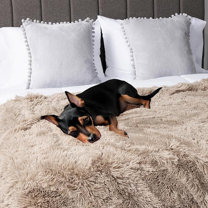 PetAmi Waterproof Dog Blanket for Large Dog, Calming Pet Blanket Bed Couch Cover Protector, Washable Sherpa Faux Fur Throw for Sofa Furniture Protection, Soft Fluffy 60x80 Taupe