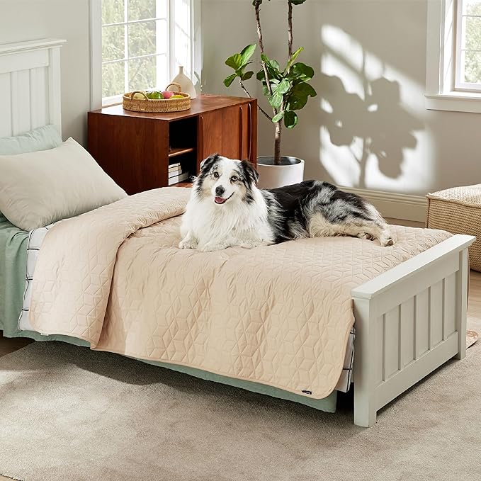 Bedsure 100% Waterproof Couch Cover for Dogs Washable - Non Slip Waterproof Dog Blanket for Bed, Lightweight Furniture Protector Durable for Pet Cat Puppy with Non-Slip Bottom, Beige, 82x120IN