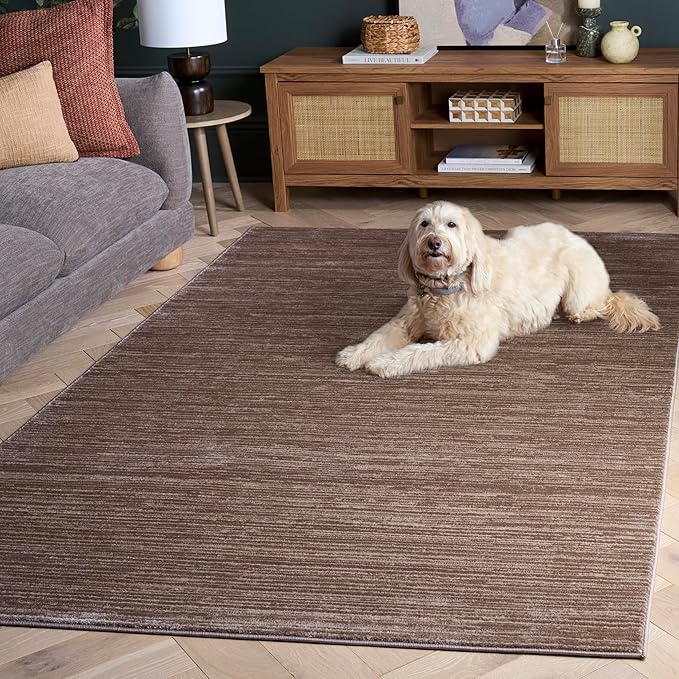 SAFAVIEH Vision Collection Area Rug - 4' Square, Light Brown, Modern Ombre Design, Non-Shedding & Easy to Clean, Ideal for Living Room, Bedroom, Dining Space (VSN606C)