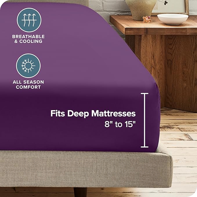 Bare Home 2-Pack Fitted Bottom Sheets Twin - Premium 1800 Ultra-Soft Wrinkle Resistant Microfiber - Deep Pocket (Twin, Plum)