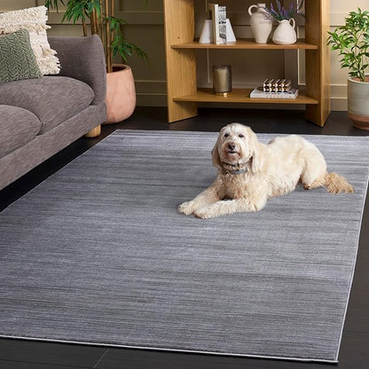SAFAVIEH Vision Collection Area Rug - 3' Square, Silver, Modern Ombre Design, Non-Shedding & Easy to Clean, Ideal for Foyer, Entryway, Bedroom, Accent Space (VSN606G)