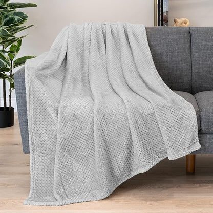 PAVILIA Light Gray Throw Blanket for Couch, Twin Bed, Soft Fleece Throws for Sofa Chair, Fuzzy Waffle Textured Blanket, Cozy Warm Lightweight All Season Blanket Throw, 60x80