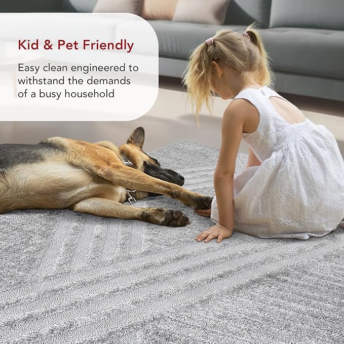 nuLOOM Risette Light Grey, 12' x 15', Geometric, Soft and Textured, High Traffic, Stain Resistant, Easy Clean, Durable Area Rug for Bedroom, Living Room, Dining Space, Den, Foyer, Entryway
