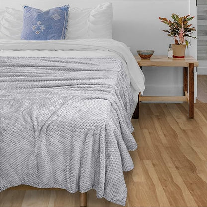 PAVILIA Light Gray Throw Blanket for Couch, Twin Bed, Soft Fleece Throws for Sofa Chair, Fuzzy Waffle Textured Blanket, Cozy Warm Lightweight All Season Blanket Throw, 60x80