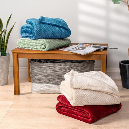 PAVILIA Sage Green Throw Blanket for Couch, Twin Bed, Soft Fleece Throws for Sofa Chair, Fuzzy Waffle Textured Blanket, Cozy Warm Lightweight All Season Blanket Throw, 60x80