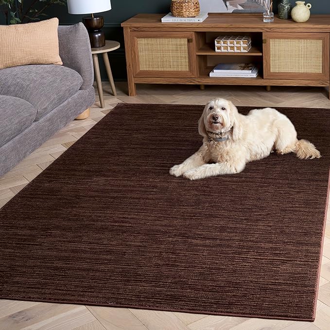 SAFAVIEH Area Rug 6x9 - Vision Collection - Brown, Modern Ombre Design, Non-Shedding & Easy to Clean, Ideal for Living Room, Bedroom, Dining Space (VSN606E)