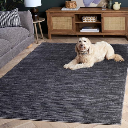 SAFAVIEH Area Rug 6x9 - Vision Collection - Grey, Modern Ombre Design, Non-Shedding & Easy to Clean, Ideal for Living Room, Bedroom, Dining Space (VSN606D)