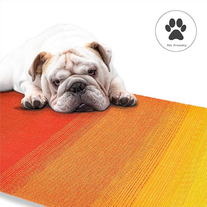 Fab Habitat Outdoor Rug - Waterproof, Fade Resistant, Crease-Free - Premium Recycled Plastic - Ombre - Patio, Deck, Porch, Balcony, Laundry Room - Big Sur - Sunset - 4 x 6 ft