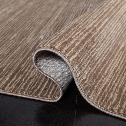 SAFAVIEH Area Rug 4x6 - Vision Collection - Light Brown, Modern Ombre Design, Non-Shedding & Easy to Clean, Ideal for Living Room, Bedroom, Dining Space (VSN606C)