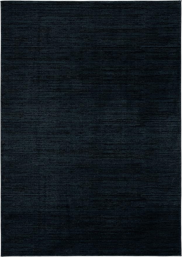 SAFAVIEH Area Rug 11x15 - Vision Collection - Large - Black, Modern Ombre Design, Non-Shedding & Easy to Clean, Ideal for Living Room, Bedroom, Dining Space (VSN606Z)