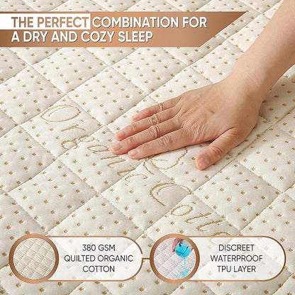 Luxury Quilted Organic Cotton Mattress Protector Twin - 380 GSM Waterproof & Breathable Pad - Deep Pocket Fitted Cover - Soft & Silent Protection