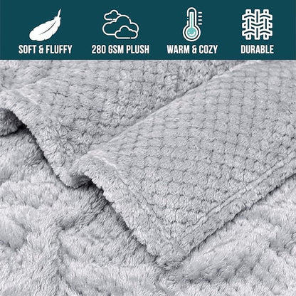 PAVILIA Light Gray Throw Blanket for Couch, Twin Bed, Soft Fleece Throws for Sofa Chair, Fuzzy Waffle Textured Blanket, Cozy Warm Lightweight All Season Blanket Throw, 60x80