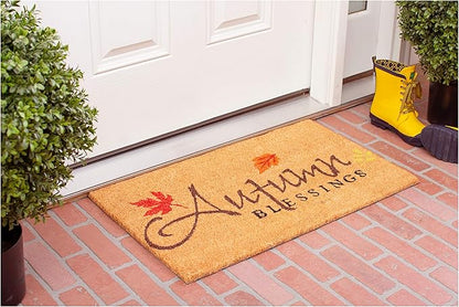 Calloway Mills AZ101841729 Blessed Doormat, 17" x 29", Multicolor