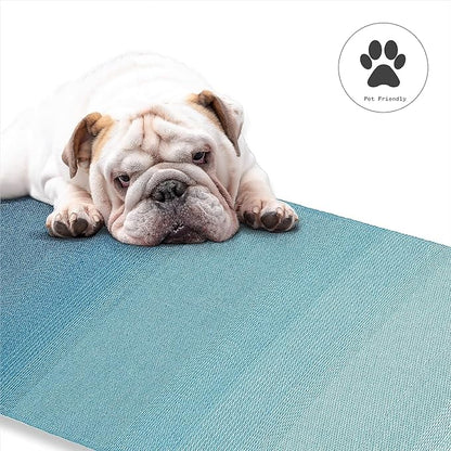 Fab Habitat Outdoor Rug - Waterproof, Fade Resistant, Crease-Free - Premium Recycled Plastic - Ombre - Porch, Deck, Balcony, Mudroom, Laundry Room, Patio - Big Sur - Teal - 3 x 5 ft