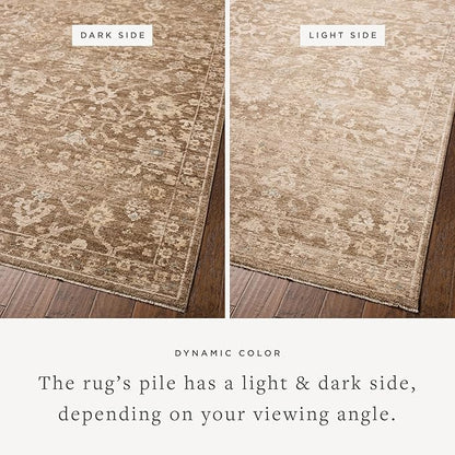 Loloi Chris Loves Julia Palma Collection PLM-09 Brown/Earth 6'-3" x 9'-6" Fringe Area Rug Vintage Style Boho Living Room Bedroom Carpet