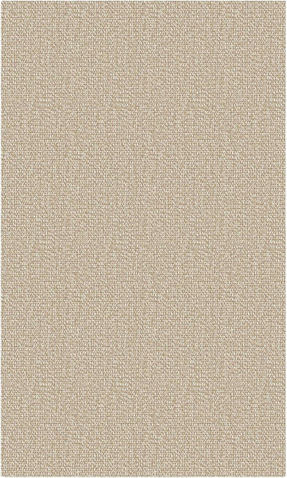 EARTHALL Washable Area Rug 3x5 Ft Non Slip Rugs for Entryway, Braided Rubber Backed Throw Rugs Door Mat Indoor Outdoor Entrance, Cotton Woven Carpet for Kitchen Foyer Front Door, Send/Beige