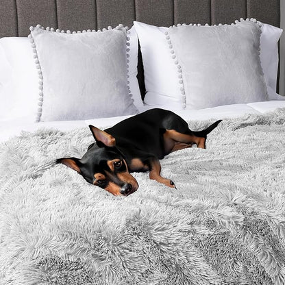 PetAmi Waterproof Dog Blanket for Medium Large Dogs, Calming Fleece Cat Blanket, Couch Protector Washable Sherpa Faux Fur Pet Throw for Puppy, Soft Reversible Leakproof 40x60 Light Gray