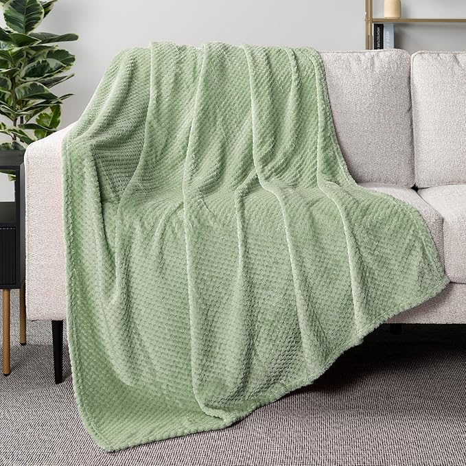 PAVILIA Sage Green Throw Blanket for Couch, Twin Bed, Soft Fleece Throws for Sofa Chair, Fuzzy Waffle Textured Blanket, Cozy Warm Lightweight All Season Blanket Throw, 60x80