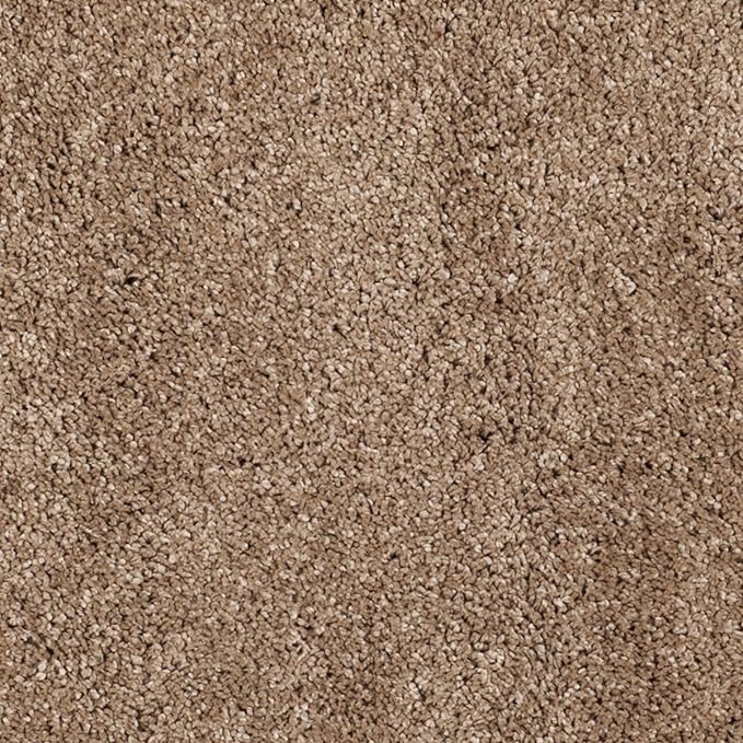 SAFAVIEH Milan Shag Collection 7' Round Dark Beige SG180 Solid Non-Shedding Living Room Bedroom Dining Room Entryway Plush 2-inch Thick Area Rug