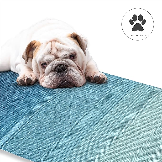 Fab Habitat Outdoor Rug - Waterproof, Fade Resistant, Crease-Free - Premium Recycled Plastic - Ombre - Patio, Porch, Deck, Balcony - Big Sur - Teal - 5 x 8 ft