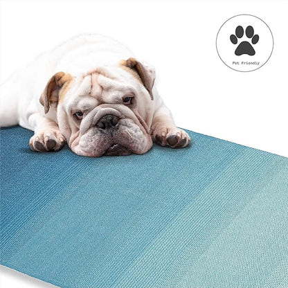 Fab Habitat Outdoor Rug - Waterproof, Fade Resistant, Crease-Free - Premium Recycled Plastic - Ombre - Patio, Porch, Deck, Balcony - Big Sur - Teal - 5 x 8 ft